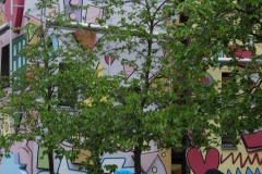 DSC03925