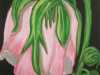 IMG-20191209-WA0013