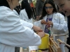 foto2039_2