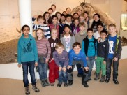 5SF im Landesmuseum